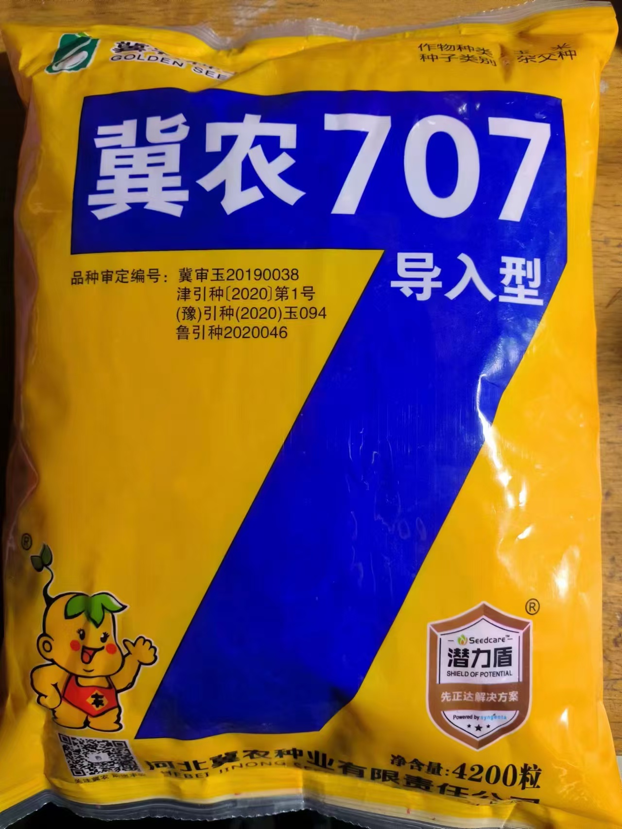 冀農(nóng)707